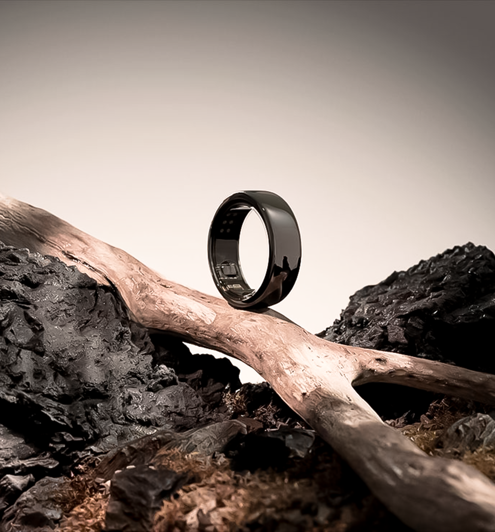 Anillo Sense de titanio apoyado sobre una rama, entre rocas oscuras